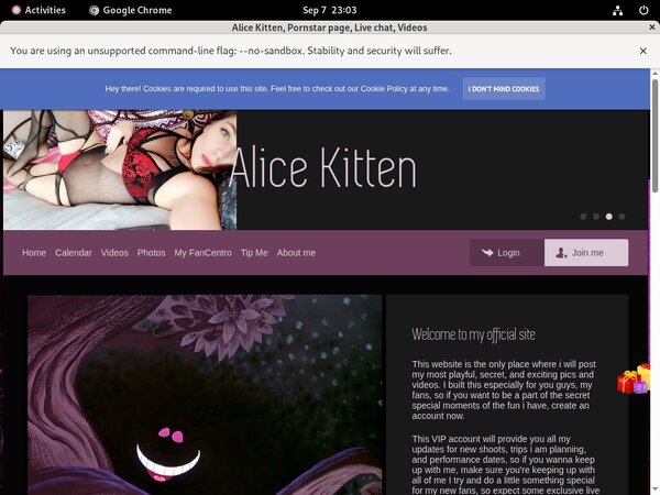 AliceKitten Dvd