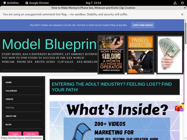 Amberlypso.net Sale Price