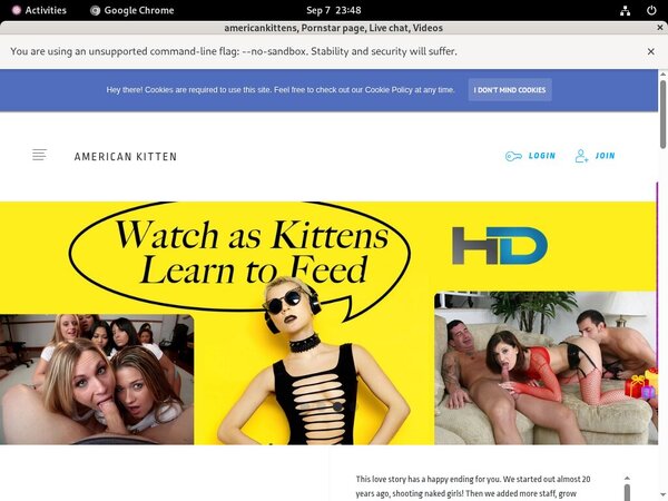 Americankitten.com Logins