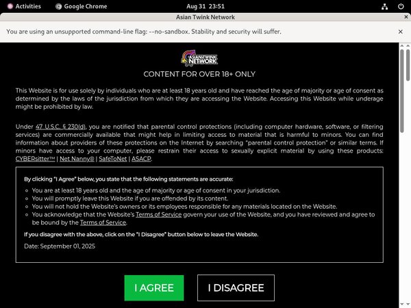 Asia Boy Video Site Reviews