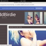 BaddBirdie Acc