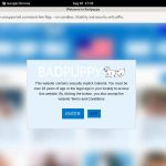 Badpuppy.com Paypal Options