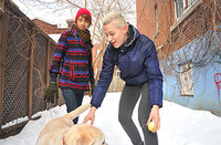 Beddable Boys Cuentas s2