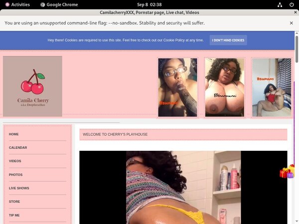 Camilacherryxxx.modelcentro.com Accounts And Password