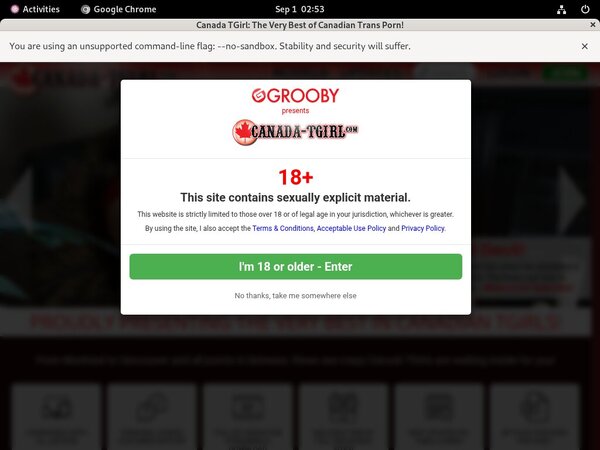 Canadatgirl Website Password