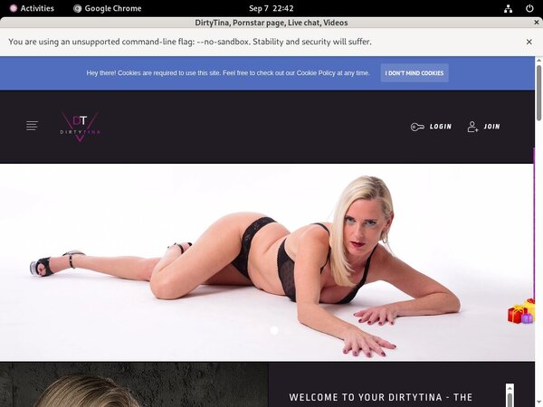 DirtyTina Link Discount