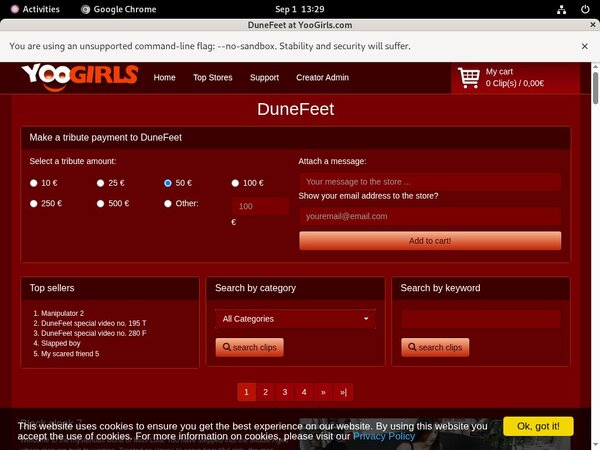 Dunefeet Login Codes