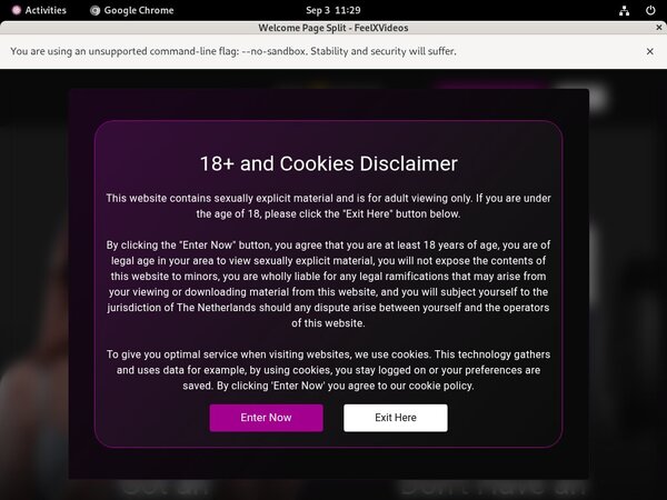 Feel X Videos Stolen Password