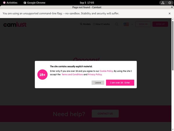 Free Camlust.com Code