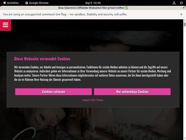 Free Sina Valentini Accounts Premium