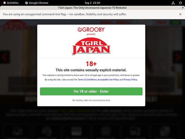 Free TGirl Japan Hacked Passwords