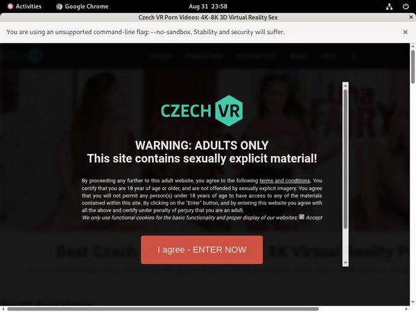 Free Working Czech VR Account