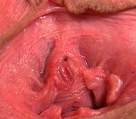 Gape My Pussy Archive