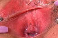 Gape My Pussy Archive s2