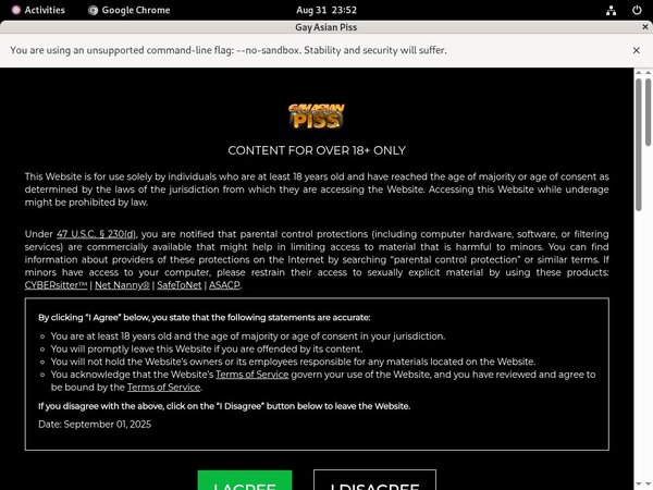 Gayasianpiss.com Porn Movies