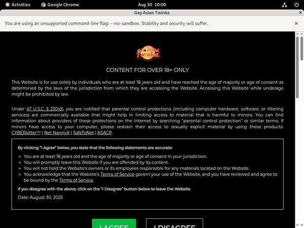 Gayasiantwinkz.com Website