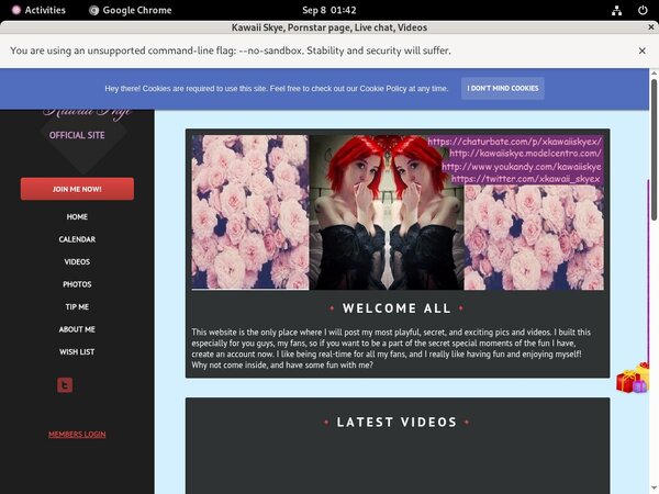 Get A Free Kawaii Skye Password