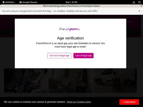 Get Frenchporn Free Login