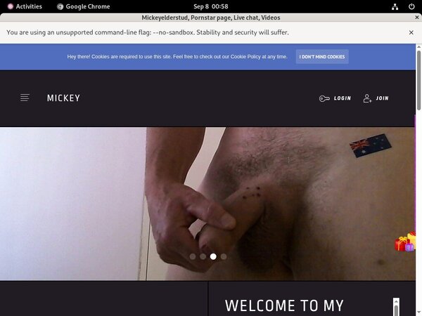 Get Mickeyelderstud Password