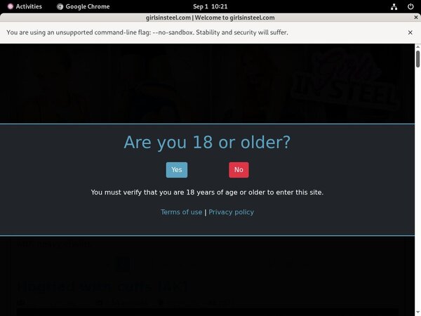 Girls In Steel Newest