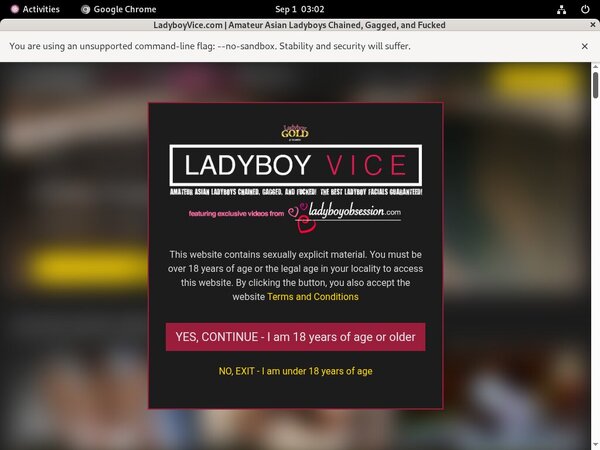 Ladyboy Vice Full Hd Porn