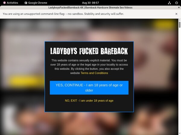 Ladyboysfuckedbareback Casting