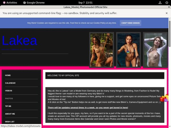 Lakea-model.com Checkout Form