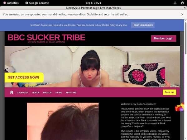 Linxer2013.modelcentro.com Images