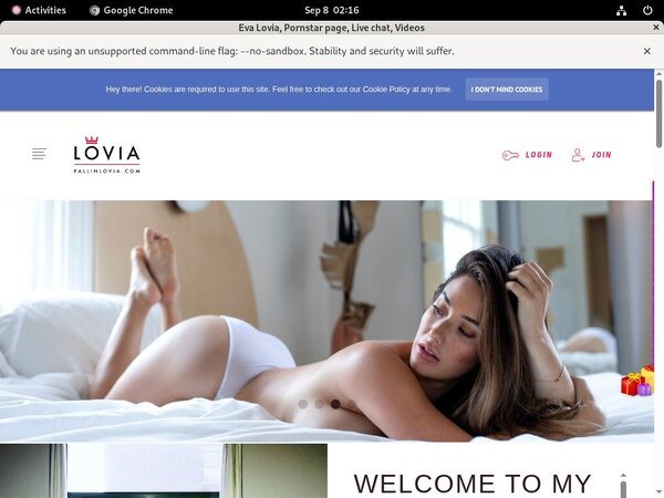 Loviaeva Login Codes Loviaeva Login Codes
