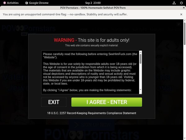 POV Pornstars 1 Day Trial