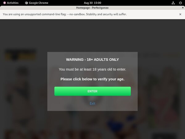 Perfectgonzo Account Generator 2016