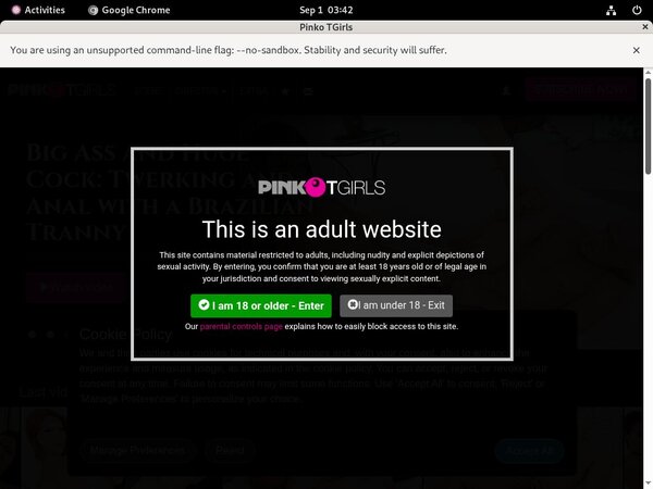 PinkO TGirls Live Cams