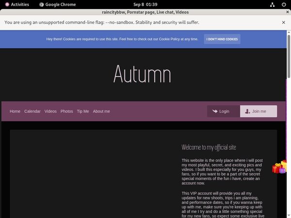 Raincitybbw.modelcentro.com ??