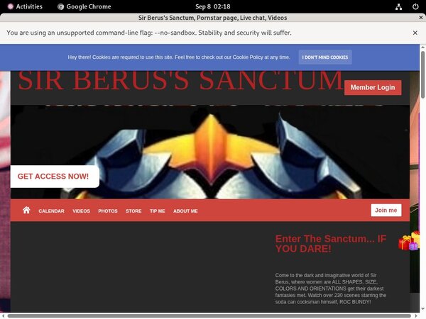 Sir Berus's Sanctum Site Rip Link