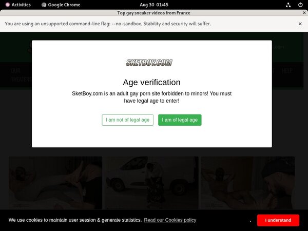 Sketboy.com Accounts