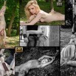 Subspaceland Member Login Free