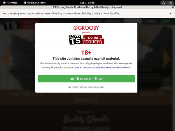 TS Casting Couch Site-rip