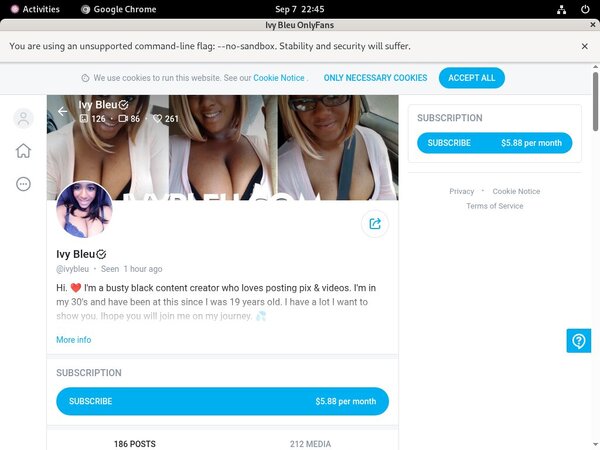 Username And Password For Ivy Bleu