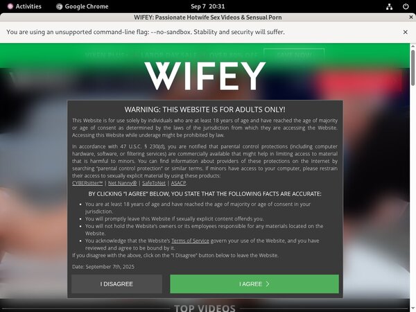 Wifey Full Episode