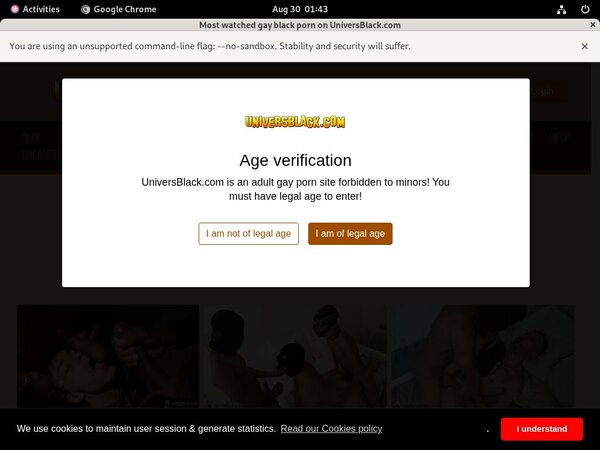 Youporn Univers Black