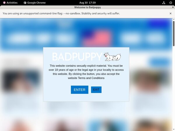 Badpuppy.com Cheaper Price