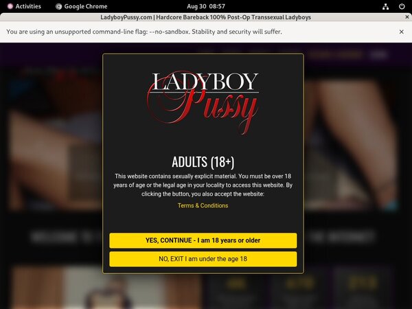 Free Ladyboy Pussy Trial Offer