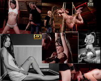 Free New Subspace Land s2