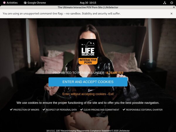 Lifeselector.com Webcams